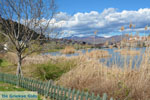 GriechenlandWeb Kastoria Stadt Kastoria - Foto GriechenlandWeb.de
