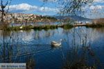 Foto Kastoria Makedonien GriechenlandWeb - Foto GriechenlandWeb.de