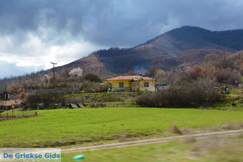 Onderweg van Prespes in Florina naar Kastoria | Macedonie Griekenland foto 2 - Foto van https://www.grieksegids.nl/fotos/west-macedonie/kastoria/normaal/kastoria-macedonie-griekenland-002.jpg