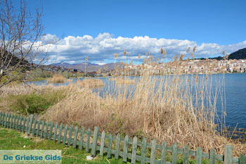 Kastoria | Macedonie Griekenland | Foto 18 - Foto van https://www.grieksegids.nl/fotos/west-macedonie/kastoria/normaal/kastoria-macedonie-griekenland-024.jpg