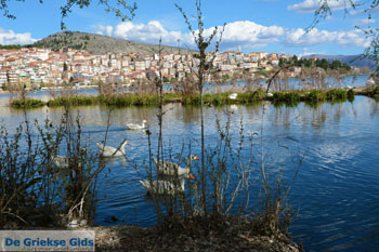 Kastoria | Macedonie Griekenland | Foto 32 - Foto van https://www.grieksegids.nl/fotos/west-macedonie/kastoria/normaal/kastoria-macedonie-griekenland-038.jpg