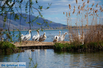 Kastoria | Macedonie Griekenland | Foto 37 - Foto van https://www.grieksegids.nl/fotos/west-macedonie/kastoria/normaal/kastoria-macedonie-griekenland-043.jpg