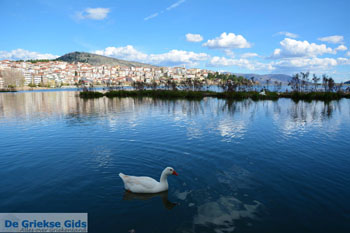 Kastoria | Macedonie Griekenland | Foto 43 - Foto van https://www.grieksegids.nl/fotos/west-macedonie/kastoria/normaal/kastoria-macedonie-griekenland-049.jpg