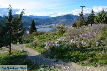 Kastoria | Macedonie Griekenland | Foto 72 - Foto van https://www.grieksegids.nl/fotos/west-macedonie/kastoria/normaal/kastoria-macedonie-griekenland-093.jpg