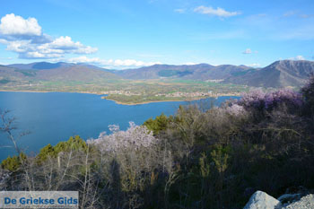 Kastoria - Foto van https://www.grieksegids.nl/fotos/west-macedonie/kastoria/normaal/kastoria-macedonie-griekenland-098.jpg