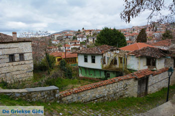 Siatista Kozani | Macedonie Griekenland 25 - Foto van https://www.grieksegids.nl/fotos/west-macedonie/kozani/normaal/kozani-macedonie-griekenland-025.jpg