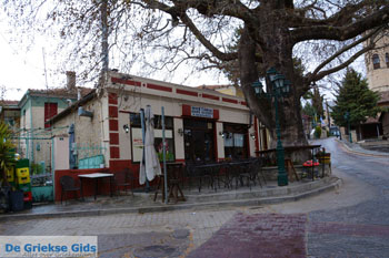 Siatista Kozani | Macedonie Griekenland 30 - Foto van https://www.grieksegids.nl/fotos/west-macedonie/kozani/normaal/kozani-macedonie-griekenland-030.jpg