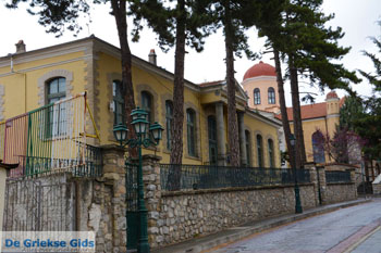 Siatista Kozani | Macedonie Griekenland 32 - Foto van https://www.grieksegids.nl/fotos/west-macedonie/kozani/normaal/kozani-macedonie-griekenland-032.jpg