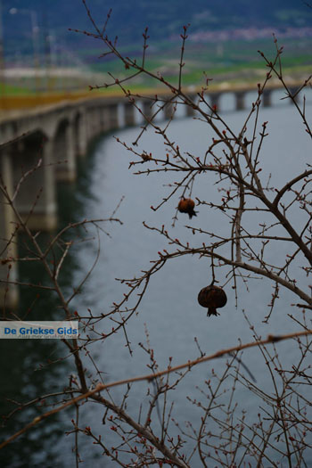 Polifitos-meer Kozani | Macedonie Griekenland 9 - Foto van https://www.grieksegids.nl/fotos/west-macedonie/kozani/normaal/kozani-macedonie-griekenland-044.jpg