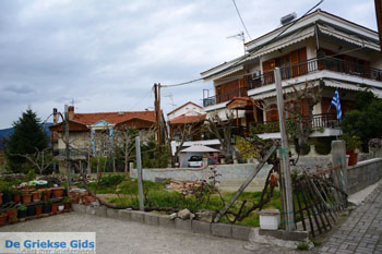 Velvendo  | Kozani Macedonie | De Griekse Gids foto 7 - Foto van https://www.grieksegids.nl/fotos/west-macedonie/kozani/normaal/kozani-macedonie-griekenland-053.jpg