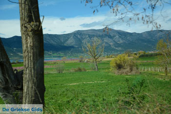 Polifitos-meer Kozani | Macedonie Griekenland 13 - Foto van https://www.grieksegids.nl/fotos/west-macedonie/kozani/normaal/kozani-macedonie-griekenland-080.jpg