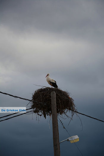 Departement Kozani | Macedonie Griekenland 5 - Foto van https://www.grieksegids.nl/fotos/west-macedonie/kozani/normaal/kozani-macedonie-griekenland-083.jpg