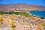 GriechenlandWeb Kato Zakros Lassithi Kreta - Foto GriechenlandWeb.de