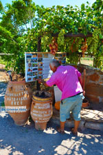 Zakros en Kato Zakros - Kreta - De Griekse Gids 63 - Foto van De Griekse Gids