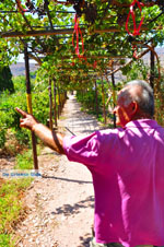 GriechenlandWeb Kato Zakros Lassithi Kreta - Foto GriechenlandWeb.de