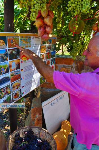 Zakros en Kato Zakros - Kreta - De Griekse Gids 62 - Foto van https://www.grieksegids.nl/fotos/zakros/normaal/zakros-kreta-062.jpg