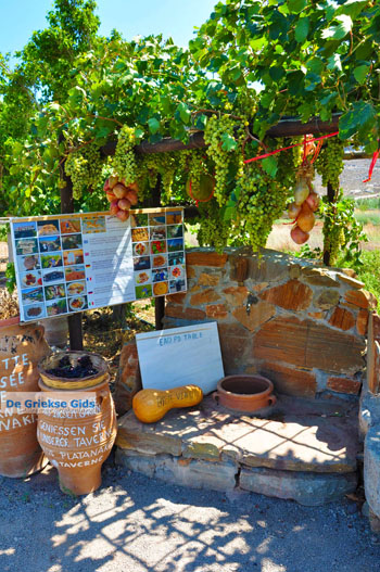 Zakros en Kato Zakros - Kreta - De Griekse Gids 64 - Foto van https://www.grieksegids.nl/fotos/zakros/normaal/zakros-kreta-064.jpg