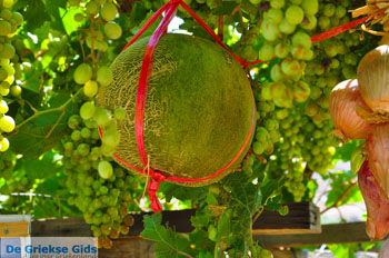 Zakros en Kato Zakros - Kreta - De Griekse Gids 66 - Foto van https://www.grieksegids.nl/fotos/zakros/normaal/zakros-kreta-066.jpg