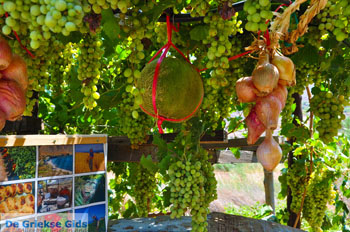 Zakros en Kato Zakros - Kreta - De Griekse Gids 67 - Foto van https://www.grieksegids.nl/fotos/zakros/normaal/zakros-kreta-067.jpg