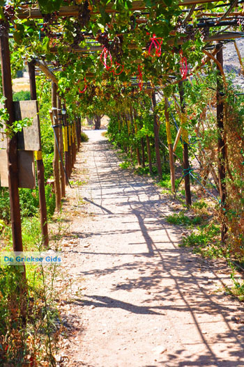 Zakros en Kato Zakros - Kreta - De Griekse Gids 69 - Foto van https://www.grieksegids.nl/fotos/zakros/normaal/zakros-kreta-069.jpg