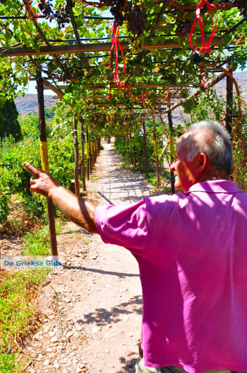 Zakros en Kato Zakros - Kreta - De Griekse Gids 70 - Foto van https://www.grieksegids.nl/fotos/zakros/normaal/zakros-kreta-070.jpg