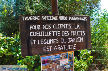 Zakros en Kato Zakros - Kreta - De Griekse Gids 71 - Foto van https://www.grieksegids.nl/fotos/zakros/normaal/zakros-kreta-071.jpg