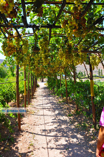 Zakros en Kato Zakros - Kreta - De Griekse Gids 73 - Foto van https://www.grieksegids.nl/fotos/zakros/normaal/zakros-kreta-073.jpg