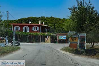 Anafonitria Zakynthos - Ionische eilanden -  Foto 1 - Foto van https://www.grieksegids.nl/fotos/zakynthos/anafonitria/350pix/anafonitria-zakynthos-001.jpg