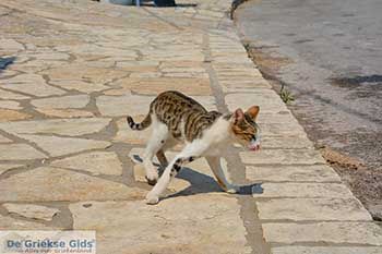 Kiliomenos Zakynthos - Ionische eilanden -  Foto 12 - Foto van https://www.grieksegids.nl/fotos/zakynthos/kiliomenos/350pix/kiliomenos-zakynthos-012.jpg