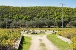 12 Venetiaanse bronnen Agalas Zakynthos - Foto Dionysios Margaris 10 - Foto van Dionysios Margaris