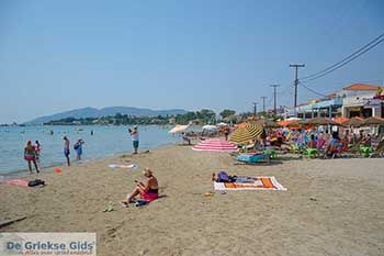 Laganas Zakynthos - Ionische eilanden -  Foto 10 - Foto van https://www.grieksegids.nl/fotos/zakynthos/laganas/350pix/laganas-zakynthos-010.jpg