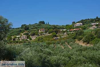 Tragaki Zakynthos - Ionische eilanden -  Foto 2 - Foto van https://www.grieksegids.nl/fotos/zakynthos/tragaki/350pix/tragaki-zakynthos-002.jpg