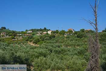 Tragaki Zakynthos - Ionische eilanden -  Foto 8 - Foto van https://www.grieksegids.nl/fotos/zakynthos/tragaki/350pix/tragaki-zakynthos-008.jpg