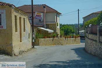 Vanato Zakynthos - Ionische eilanden -  Foto 6 - Foto van https://www.grieksegids.nl/fotos/zakynthos/vanato/350pix/vanato-zakynthos-006.jpg