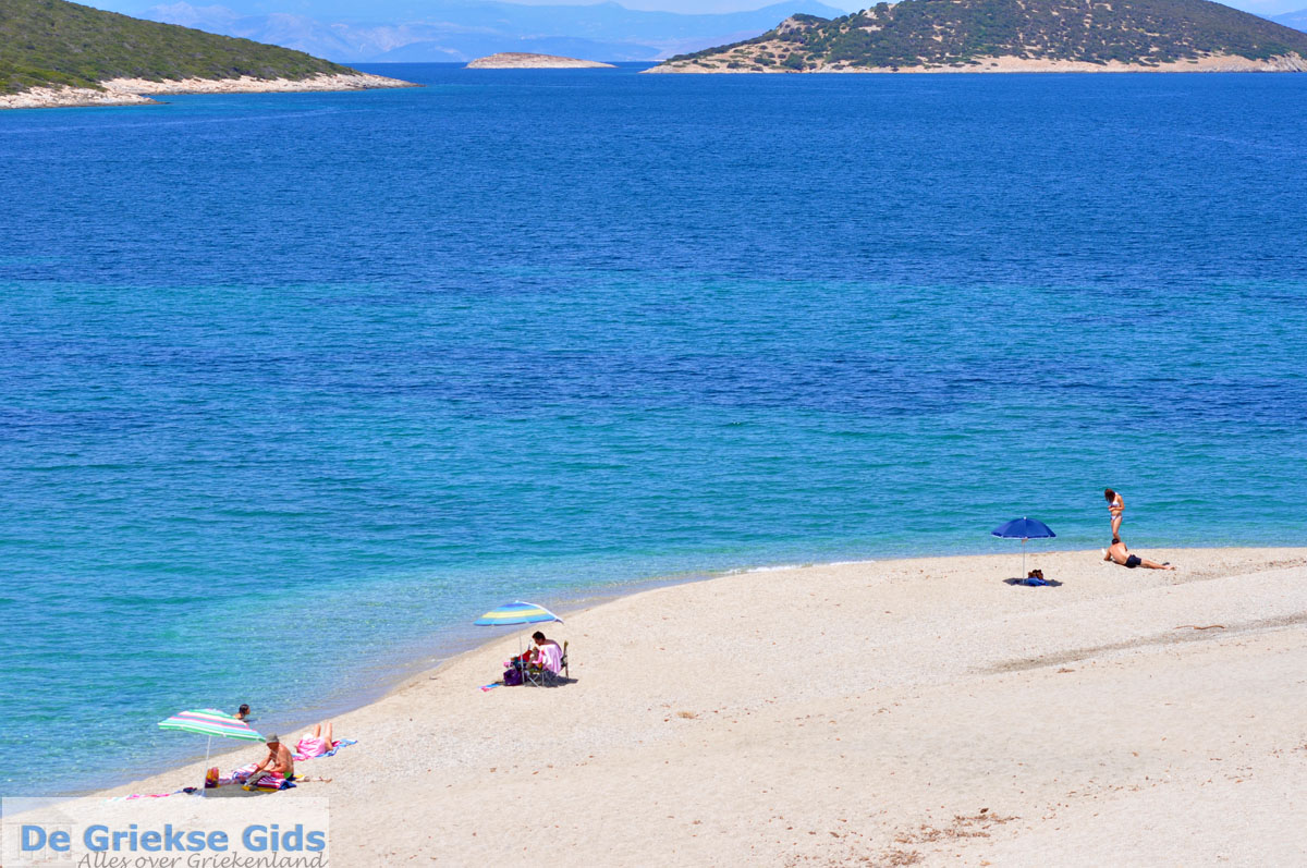 foto Golden beach | Marmari Evia | Griekenland foto 6