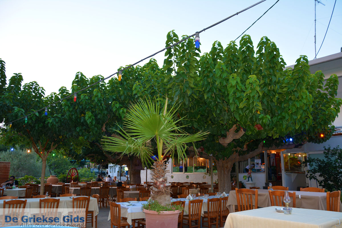 foto Paradisi Evia | Griekenland | Foto 8