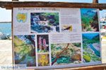 Karystos Evia | Griekenland | Foto 3 - Foto van De Griekse Gids