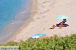 GriechenlandWeb Golden beach | Marmari Evia | Griechenland foto 7 - Foto GriechenlandWeb.de