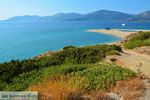 Golden beach Evia | Marmari Evia | Griekenland foto 13 - Foto van De Griekse Gids