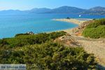 Golden beach Evia | Marmari Evia | Griechenland foto 14 - Foto GriechenlandWeb.de