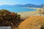 Golden beach Evia | Marmari Evia | Griekenland foto 15 - Foto van De Griekse Gids