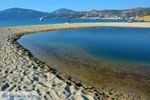 GriechenlandWeb Golden beach Evia | Marmari Evia | Griechenland foto 19 - Foto GriechenlandWeb.de