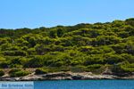 GriechenlandWeb Petali Evia Inselen | Marmari Evia | Foto 8 - Foto GriechenlandWeb.de