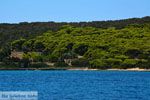 GriechenlandWeb.de Petali Evia Inselen | Marmari Evia | Foto 22 - Foto GriechenlandWeb.de