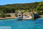 GriechenlandWeb Petali Evia Inselen | Marmari Evia | Foto 25 - Foto GriechenlandWeb.de