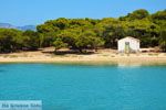 GriechenlandWeb Petali Evia Inselen | Marmari Evia | Foto 34 - Foto GriechenlandWeb.de