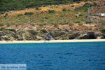 GriechenlandWeb Petali Evia Inselen | Marmari Evia | Foto 50 - Foto GriechenlandWeb.de