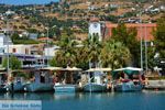 Marmari Evia | Griekenland | Foto 39 - Foto van De Griekse Gids