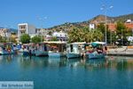 GriechenlandWeb Marmari Evia | Griechenland | Foto 40 - Foto GriechenlandWeb.de