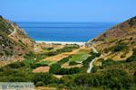 Giannitsi Evia | Griekenland | Foto 2 - Foto van De Griekse Gids